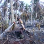 Polsek Tempuling Bersama Tim Gabungan Lakukan Pendinginan Hotspot di Tanjung Pidada